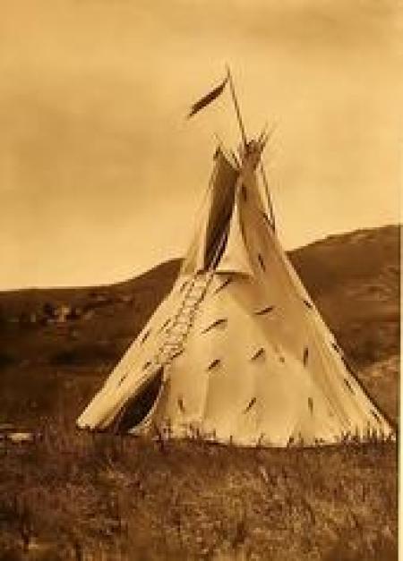 Tipi (le )